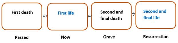 stages of life and death
